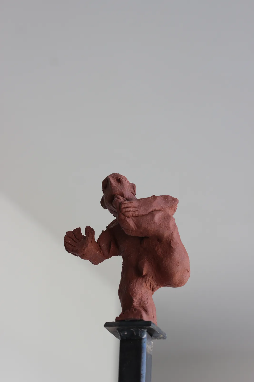 Image of at the summit by Denys Shimanskyi, size: 209х30х30, made of ceramics, metal, chamotte, Sculpture medium, part of the сухоцвіти series, priced at $250 Photo 4 of 8.