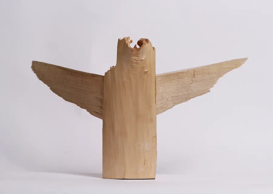 Image of winged by Denys Shimanskyi, size: 50х35х25, made of tree, Sculpture medium, priced at $500