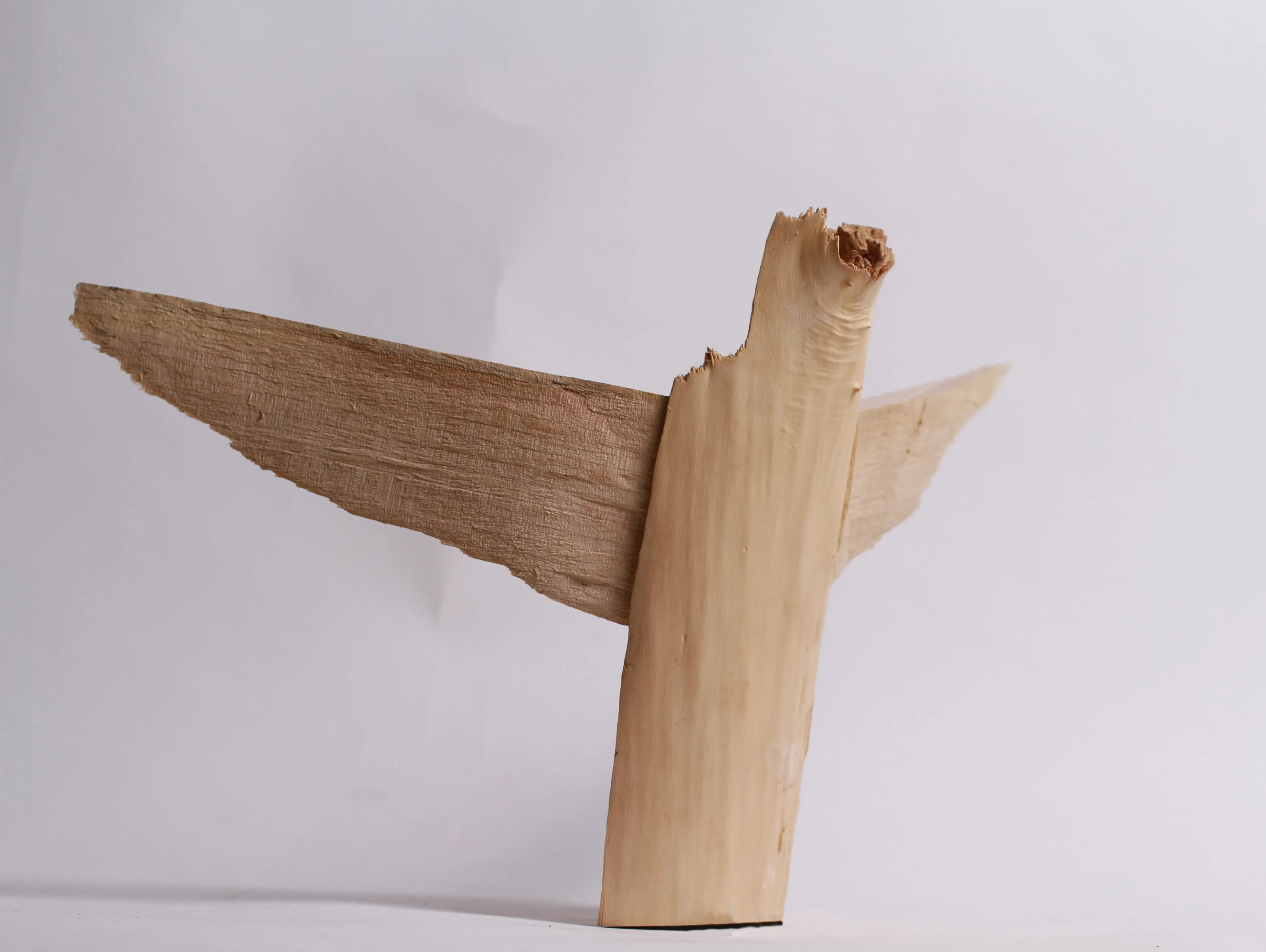 Image of winged by Denys Shimanskyi, size: 50х35х25, made of tree, Sculpture medium, priced at $500 Photo 3 of 8.
