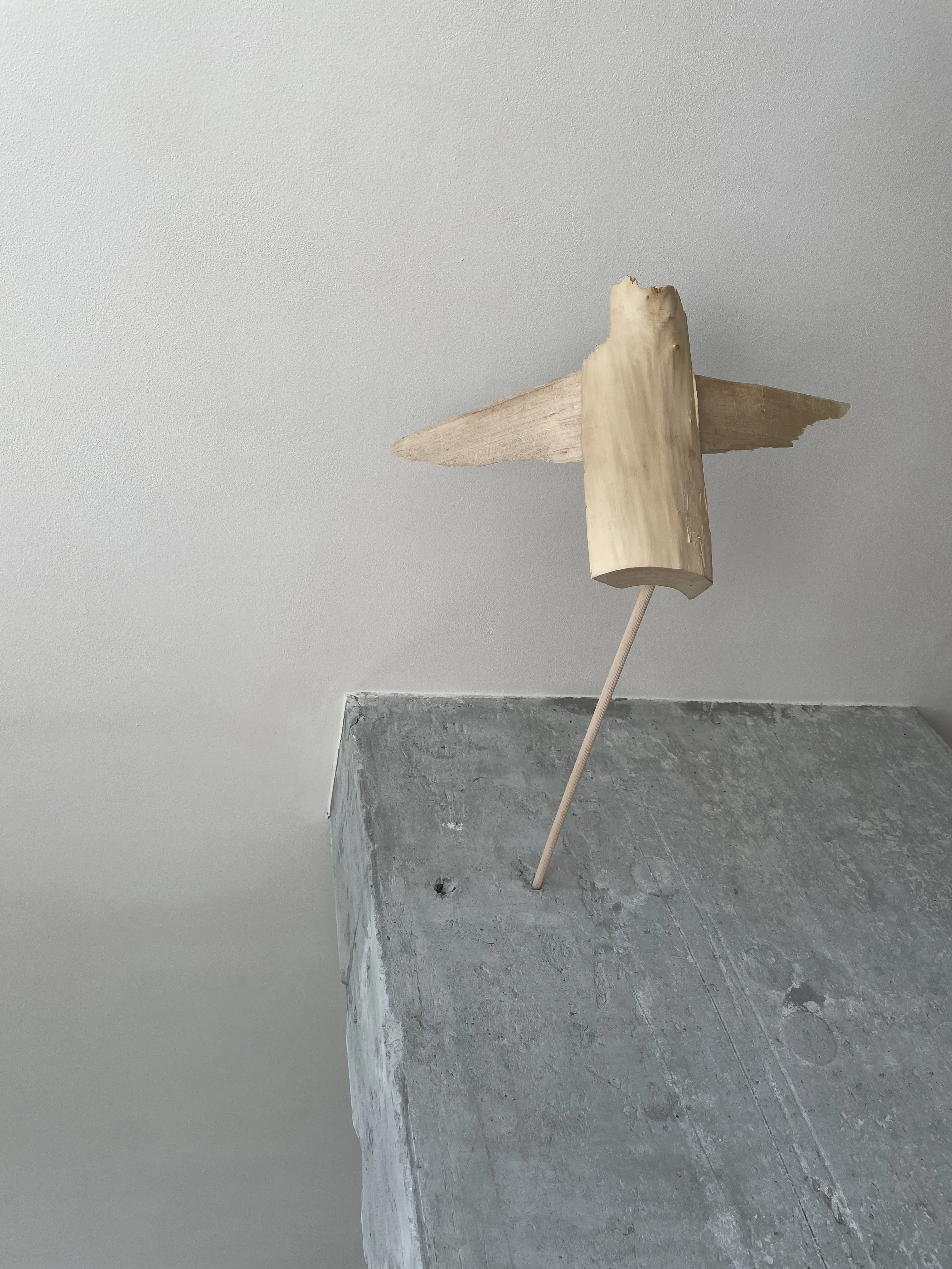 Image of winged by Denys Shimanskyi, size: 50х35х25, made of tree, Sculpture medium, priced at $500 Photo 5 of 8.